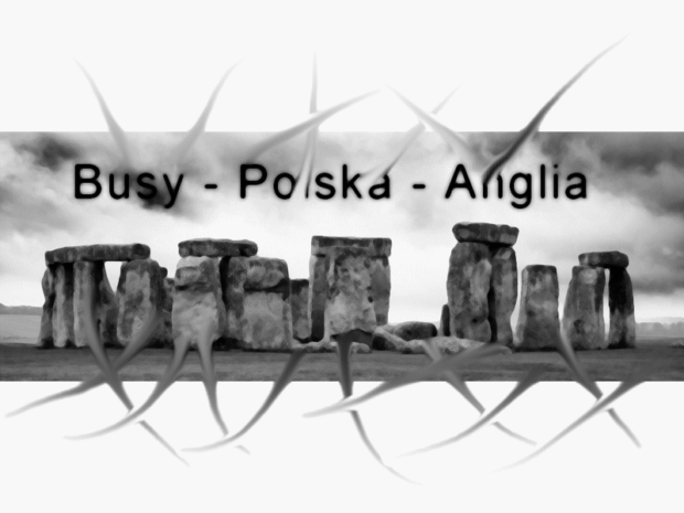 Busy Anglia Polska