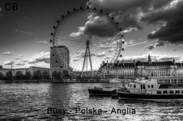 Busy Polska Anglia
